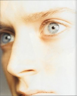 98.jpg