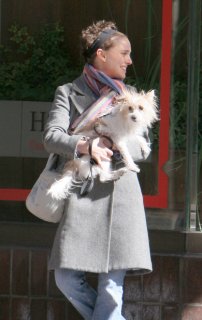 toronto-05.jpg