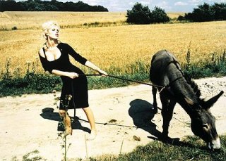 evu_country_story_01.jpg