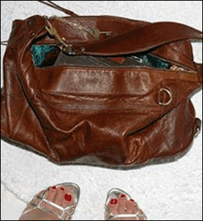 OTW_Minkoff3.gif