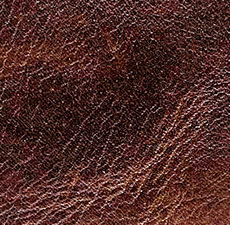 chocolate_detail.jpg