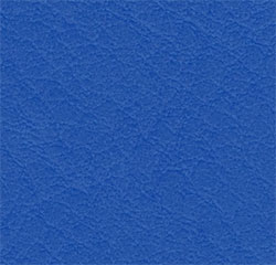 royal_detail.jpg