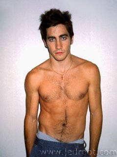 gyllenhaal-j-arena-awtr03-01.jpg