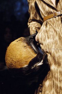 Prada fw0607 coat anim D.jpg