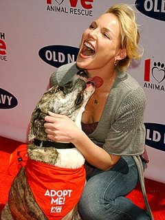 katherine_heigl.jpg