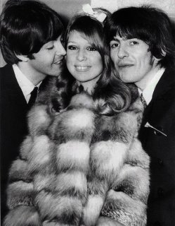 gpwed20.jpg gpwed20.jpg