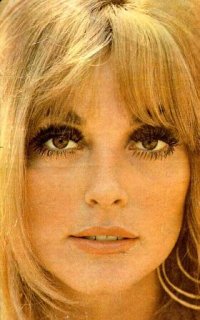 sharontate10.jpg