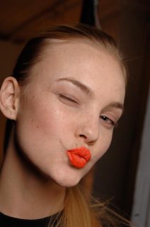 donnakaranfw06ct21.jpg