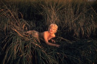 Monroe 1955 (slate.com)2.jpg