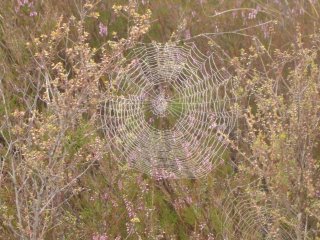 DSC01122.JPG
