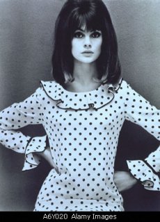 jeanshrimpton1.jpg