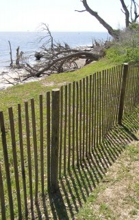 Fence.JPG