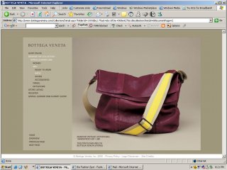 Bottega bag.JPG