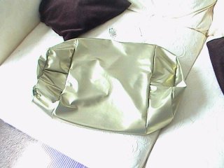 gold_bag.jpg