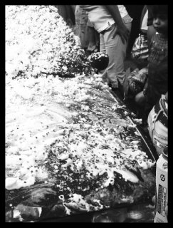caaaaaarnaval.jpg