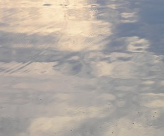 Watery_Reflection2.JPG