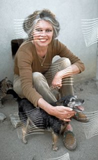 BB with dog.jpg