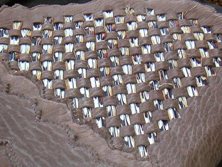 bv-closeup.jpg