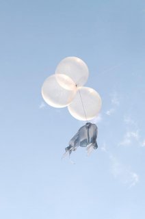 00096.L.JPG