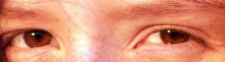 eyes.jpg
