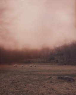 untitled-43__z42061047.jpg