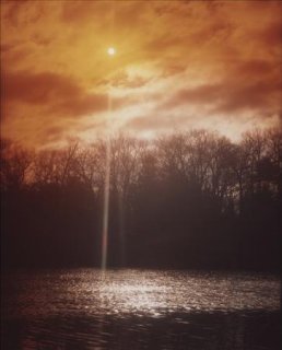 untitled-41__z42061047.jpg