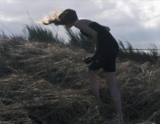 wind2__z3206655.jpg