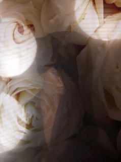 her7__z21061233.jpg