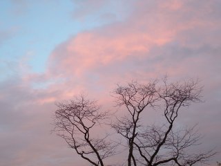 DSCF00sky64.JPG