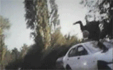 alexjumpls2.gif