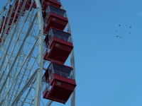 ferriswheel4.jpg