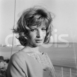 monicavitti62.jpg