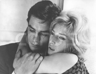 monicavitti-eclipse.jpg