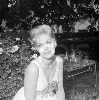 kimnovak106.jpg
