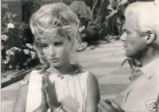 monicavitti-t.jpg