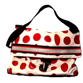 bikebag_4X.gif