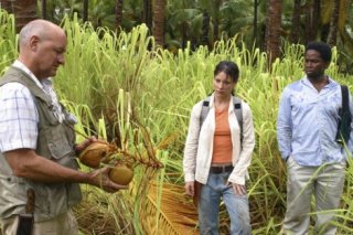 Evagelinefan Season1 Walkabout 1.jpg