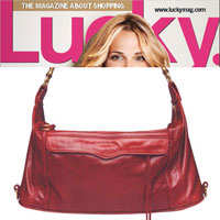 rebecca minkoff hobo.jpg