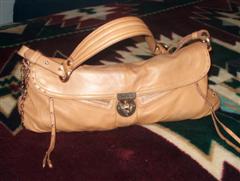 hayden-harnett lorca flap demi (WinCE).jpg
