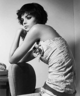 indian rose black_white chair.jpg