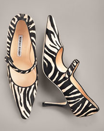 manolo-zebra.jpg