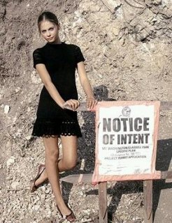 willa3.jpg