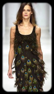 maxmara_.jpg