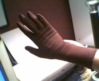 gloves.jpg