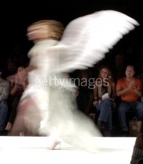 wings2.jpg
