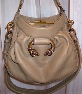my hot new bag!.jpg