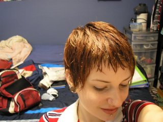 hair 003 (Medium).jpg hair 003 (Medium).jpg