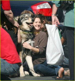 drew-barrymore-dog-04.jpg