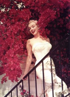 marilyn251.jpg