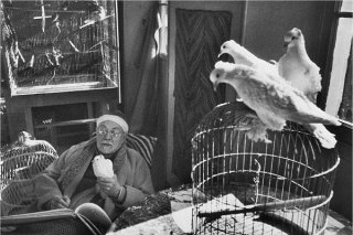 bressonmatisse.jpg